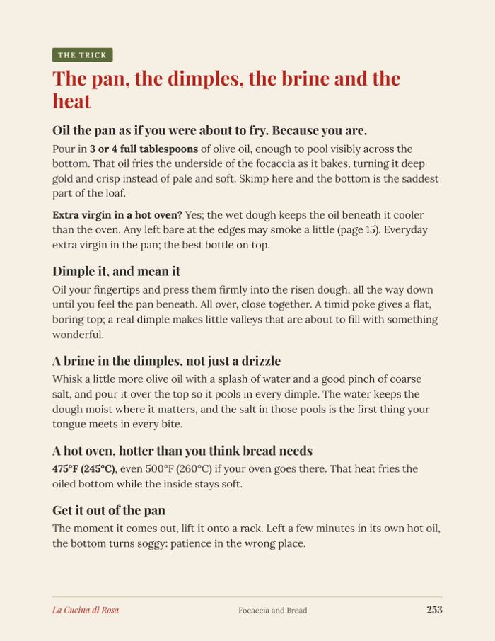 Page 253, focaccia technique page